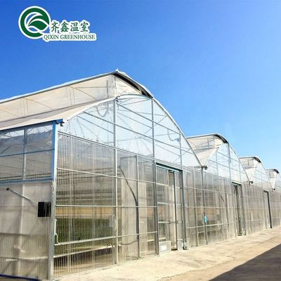 Used Container Tomato Greenhouse PE Material Optional Ventilation System