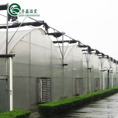 PO Single Layer Greenhouse for Agriculture Boost Agricultural Production
