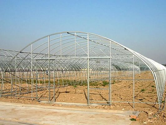 Film Cover Single Layer Agricultural Greenhouse for Sustainable Farming