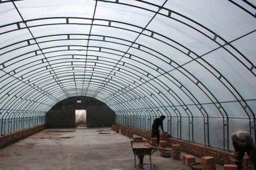 Film Cover Single Layer Agricultural Greenhouse for Sustainable Farming