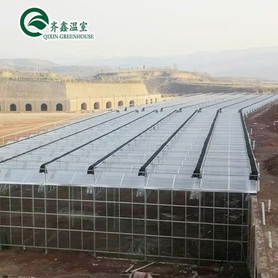 Large Glass Greenhouse Mushroom Aeroponic Tower Garden for Eco Restaurant Instruction