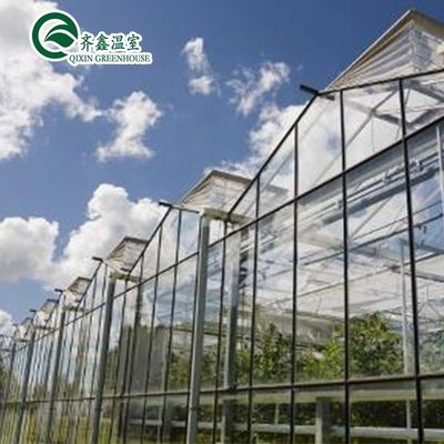 Large Glass Greenhouse Mushroom Aeroponic Tower Garden for Eco Restaurant Instruction