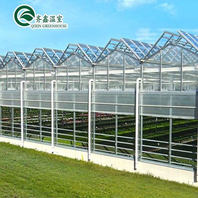 Large Glass Greenhouse Mushroom Aeroponic Tower Garden for Eco Restaurant Instruction