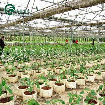 Large Glass Greenhouse Mushroom Aeroponic Tower Garden for Eco Restaurant Instruction