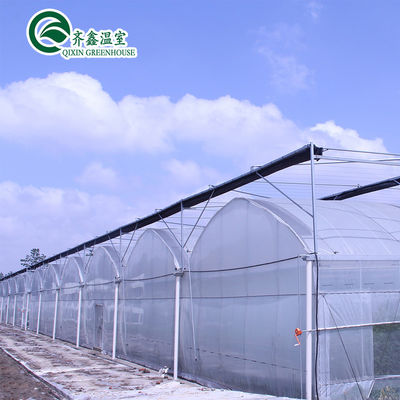 Multi-Span Agricultural Greenhouses with Used Container Hydroponic Growing Systems