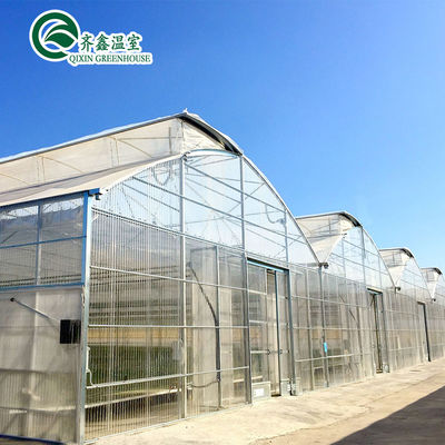 Multi-Span Agricultural Greenhouses with Used Container Hydroponic Growing Systems
