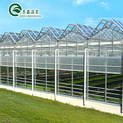 Glass Covered Vertical Hydroponic System for Growing Vegetables Fruits and Flowers