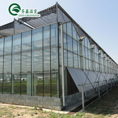 Glass Covered Vertical Hydroponic System for Growing Vegetables Fruits and Flowers
