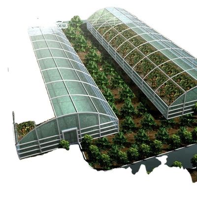 Grow Your Own Vegetables Fruits and Flowers with Our Commercial Greenhouse Philippines