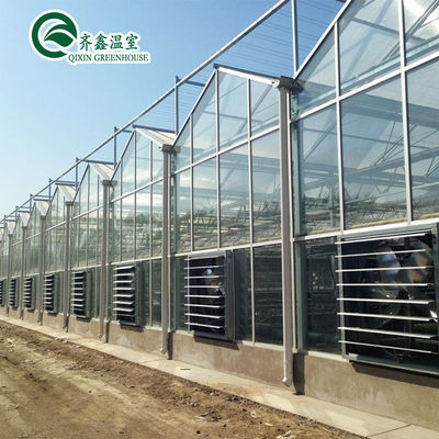 Glass Covered Vertical Hydroponic System for Growing Vegetables Fruits and Flowers