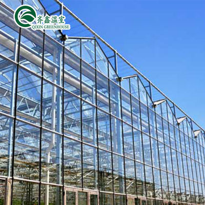 Glass Covered Vertical Hydroponic System for Growing Vegetables Fruits and Flowers