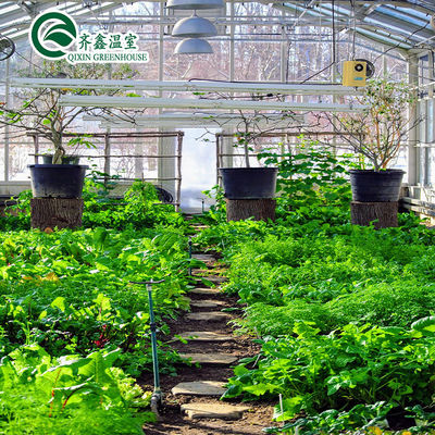 Vegetable Fruits Flowers Tomatoes PC Sheet Greenhouses for Eco-Conscious Restaurants