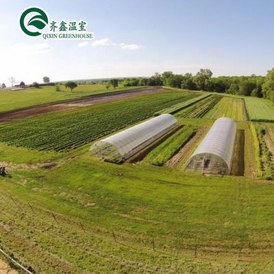 Grow Your Own Vegetables Fruits and Flowers with Our Commercial Greenhouse Philippines