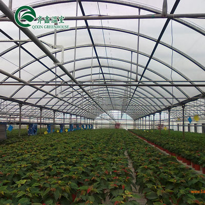 Vegetable Fruits Flowers Tomatoes PC Sheet Greenhouses for Eco-Conscious Restaurants