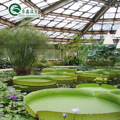 Vegetable Fruits Flowers Tomatoes PC Sheet Greenhouses for Eco-Conscious Restaurants