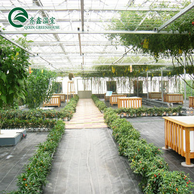 Vegetable Fruits Flowers Tomatoes PC Sheet Greenhouses for Eco-Conscious Restaurants