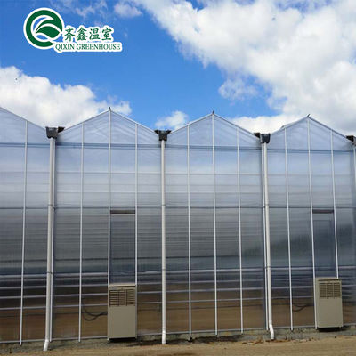 Vegetable Fruits Flowers Tomatoes PC Sheet Greenhouses for Eco-Conscious Restaurants