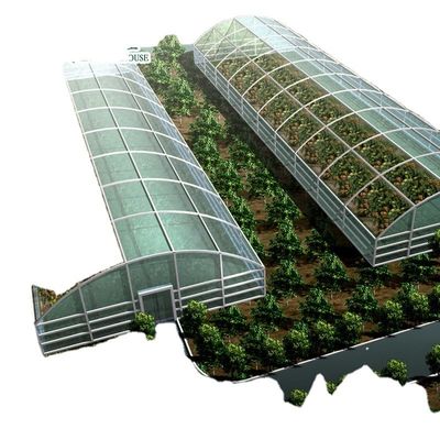 Commercial Aquaponic Aquarium System Prefabricated PO Greenhouses for Vegetables