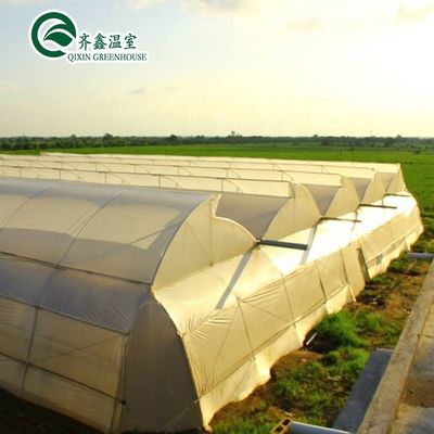 Used Container Tomato Greenhouse PE Material Optional Ventilation System