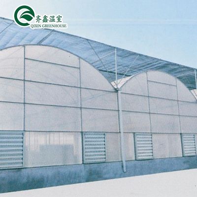 Used Container Tomato Greenhouse PE Material Optional Ventilation System