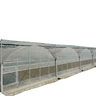 Used Container Tomato Greenhouse PE Material Optional Ventilation System