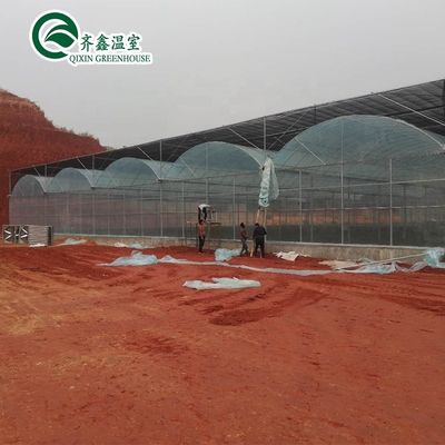 Used Container Tomato Greenhouse PE Material Optional Ventilation System