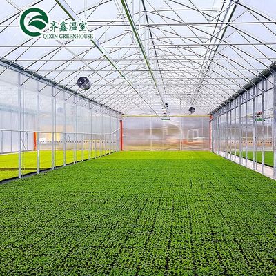 Single Layer PO Commercial Multi Span Polycarbonate Sheet Greenhouse for Agriculture