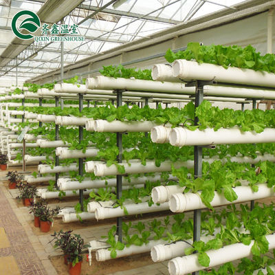 Complete Hydroponic Grow Tent for Indoor Growing of Vegetables Fruits Flowers and Tomatoes