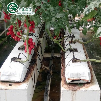 PO Tower Garden for Vegetable Fruits Flowers Budget-Friendly Agricultural Greenhouse