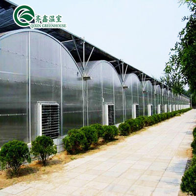 Complete Hydroponic Grow Tent for Indoor Growing of Vegetables Fruits Flowers and Tomatoes