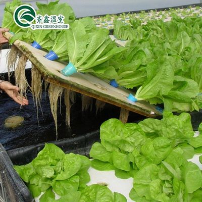 PO Tower Garden for Vegetable Fruits Flowers Budget-Friendly Agricultural Greenhouse