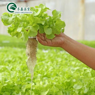 PO Tower Garden for Vegetable Fruits Flowers Budget-Friendly Agricultural Greenhouse