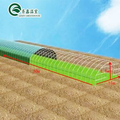 Single-Span Agricultural Greenhouses with Film Cover The Perfect Growing Environment