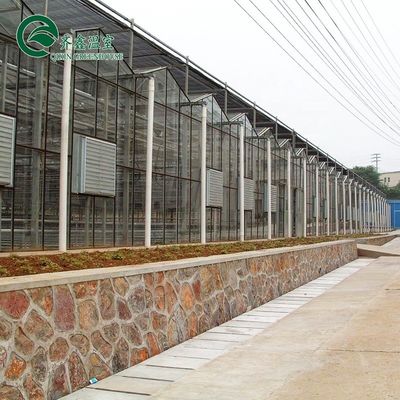 Multi-Span Agricultural Greenhouses Top Covering with Tempered Glass or PC Sheet