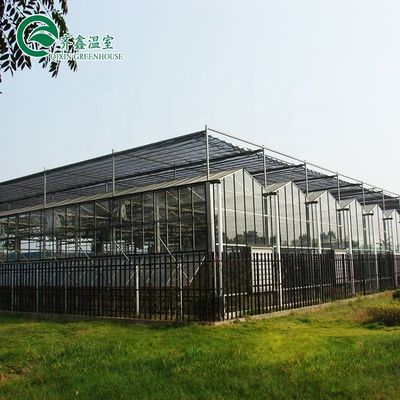 Multi-Span Agricultural Greenhouses Top Covering with Tempered Glass or PC Sheet