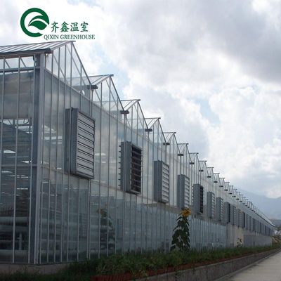 Multi-Span Agricultural Greenhouses Top Covering with Tempered Glass or PC Sheet