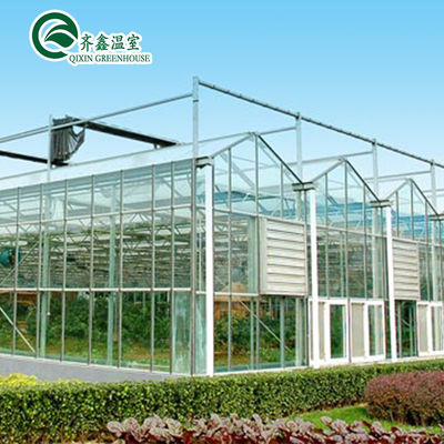 Venlo Multi-Span Greenhouse Enhance Agriculture with Inside and Outside Shading System