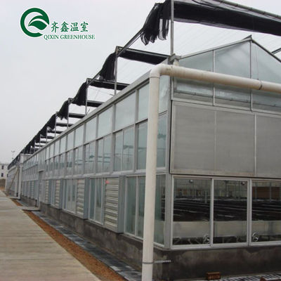 Venlo Multi-Span Greenhouse Enhance Agriculture with Inside and Outside Shading System