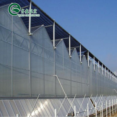 Venlo Multi-Span Greenhouse Enhance Agriculture with Inside and Outside Shading System