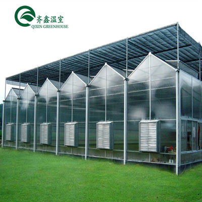 Venlo Multi-Span Greenhouse Enhance Agriculture with Inside and Outside Shading System