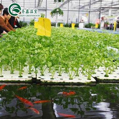 Single Layer Tower Garden for Aduaponics Affordable Agricultural Greenhouse