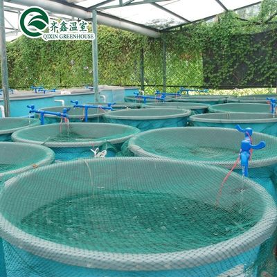 Single Layer Tower Garden for Aduaponics Affordable Agricultural Greenhouse