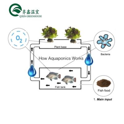 Single Layer Tower Garden for Aduaponics Affordable Agricultural Greenhouse