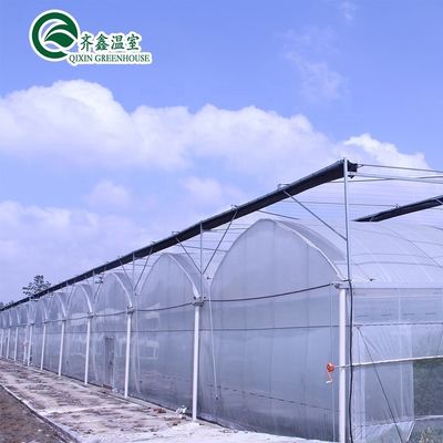 Multi-Span Agricultural Greenhouses Hydroponic Aeroponic Tower Garden for Film Greenhouse