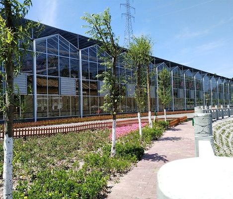 Glass Greenhouse Ventilation System with Tempered Glass or PC Sheet Top Covering