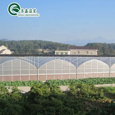 Multi-Span Agricultural Greenhouses Hydroponic Aeroponic Tower Garden for Film Greenhouse