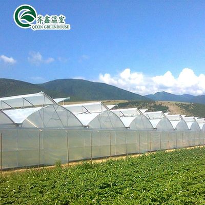 Multi-Span Agricultural Greenhouses Hydroponic Aeroponic Tower Garden for Film Greenhouse