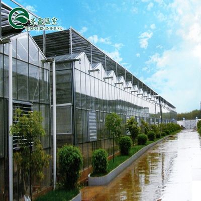 Glass Greenhouse Ventilation System with Tempered Glass or PC Sheet Top Covering