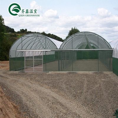 Single-Span Agricultural Greenhouses with Film Cover The Perfect Growing Environment