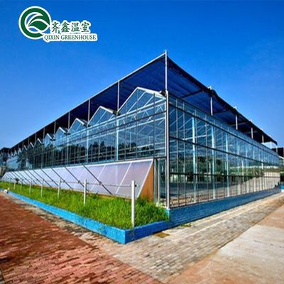 Glass Greenhouse Ventilation System with Tempered Glass or PC Sheet Top Covering